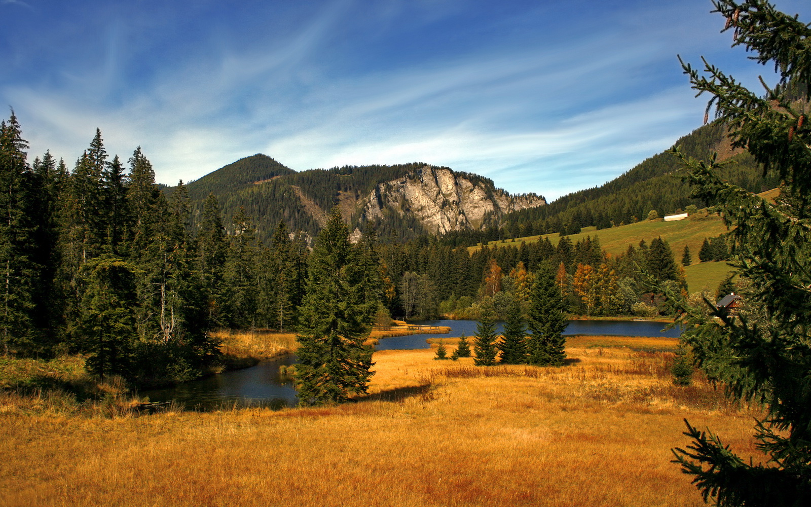 末节风暴！伊朗绝地翻盘、帕尔默单骑救主—世界篮球的终结者哲学
